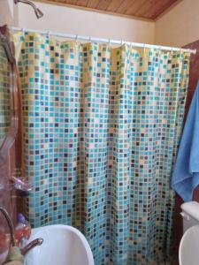 a bathroom with a shower curtain with a sink at el sueño del pibe in San Antonio de Areco