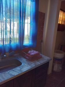 a bathroom with a sink and a blue curtain at el sueño del pibe in San Antonio de Areco
