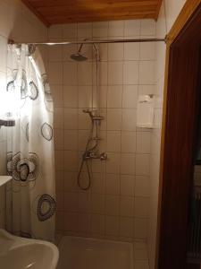 La salle de bains est pourvue d'une douche et d'un lavabo. dans l'établissement Wirtin z Atzersdorf, 