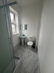 a bathroom with a toilet and a sink at Anerly Road in London