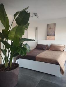 - une chambre avec un lit et une grande plante dans l'établissement Casa vacanze il bibbiere, à Olgiate Comasco