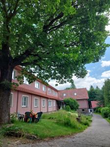 un árbol con mesas y sillas frente a un edificio en Monte Lope en Bystřice pod Lopeníkem