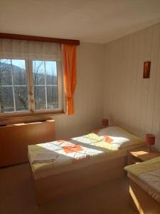 a bedroom with two beds and a window at Monte Lope in Bystřice pod Lopeníkem