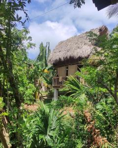 a house with a thatched roof in a forest at Sierra Normandia in Cañaveral
