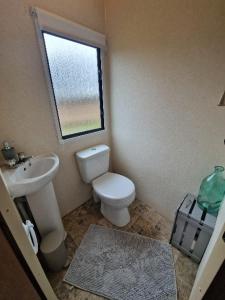 a bathroom with a toilet and a sink and a window at U EGONA in Wejsuny