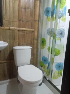 a bathroom with a toilet and a shower curtain at La Tebaida Posada Rural in Ubaque