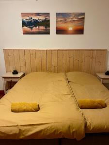 1 dormitorio con 2 almohadas en Sunnemoslantliv B&B, en Sunnemo