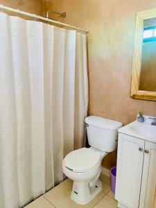 a bathroom with a toilet and a shower curtain at CASA JOAQUÍN HOSTAL in Oaxaca City