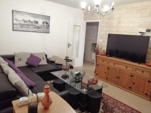 een woonkamer met een bank en een flatscreen-tv bij Havre de paix : appartement de standing in Valenciennes