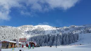 Landhaus Tirol v zimě
