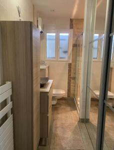 La salle de bains est pourvue de toilettes, d'un lavabo et d'une douche. dans l'établissement Appartement mitoyen avec terrasse, à Auterive