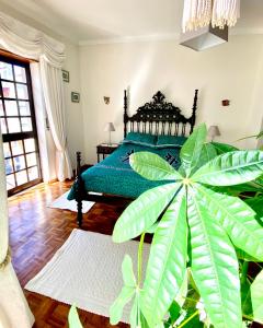 a bedroom with a bed and a large green plant at Spray B&B Sitio in Nazare, European style in Nazaré
