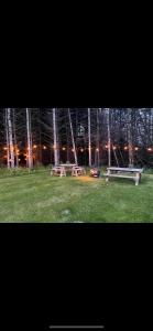 un grupo de mesas de picnic en un campo con árboles en Woodland lodge green room en Dungiven