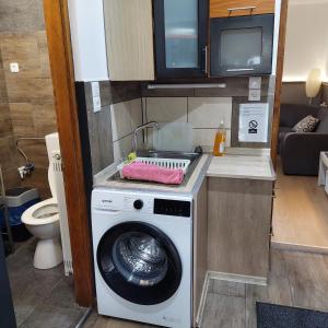 Kuchyň nebo kuchyňský kout v ubytování Újszeged apartman