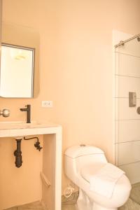 W łazience znajduje się toaleta, umywalka i prysznic. w obiekcie HOTEL LOZETA w mieście Carmen de Viboral