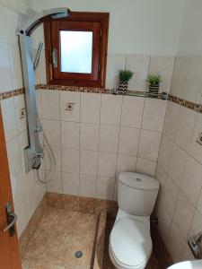 a bathroom with a toilet and a window and a shower at Tsimas House in Potamia