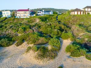 an aerial view of a beach with trees and houses at Southern Cross Beach House in Plettenberg Bay