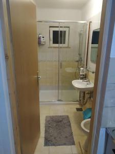 a bathroom with a shower and a toilet and a sink at Apartment Edin in Bihać