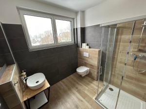 a bathroom with a toilet and a glass shower at Horský dům Vojta in Rokytnice nad Jizerou