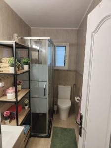 uma casa de banho com um WC e uma cabina de duche em vidro. em Habitación acogedora matrimonial em Olesa de Montserrat