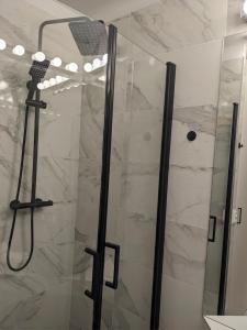 ein Bad mit einer Dusche und einer Glastür in der Unterkunft Design Home 1020 in Wien