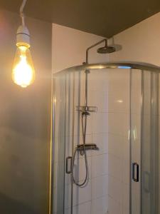 a bathroom with a shower and a light at Bright and peaceful mews flat in London