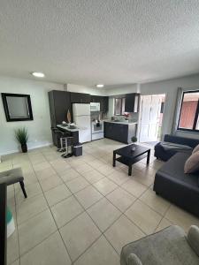 ハリウッドにあるApartment in Hollywood close to shops & beach 110のソファとキッチンのあるリビングルーム