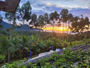 una vista sul tramonto dal giardino di un resort di Refugio de Itamambuca a Ubatuba