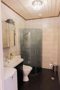 La salle de bains est pourvue d'une douche, de toilettes et d'un lavabo. dans l'établissement Ihastuttava, vanha Jugend talo Joensuun sydämessä, à Joensuu
