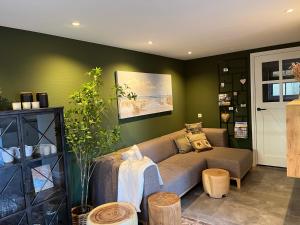 a living room with a couch and green walls at It Bûthús in Baaiduinen