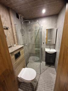 a bathroom with a shower and a toilet and a sink at Sofi Apartment in Võru