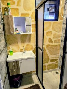 a small bathroom with a sink and a shower at Casa Container in Santa Rita do Passa Quatro
