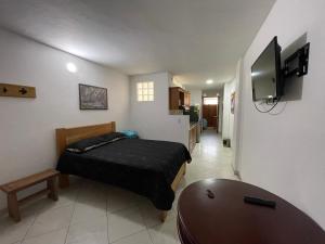 a bedroom with a bed and a tv in a room at JericóHouse apto 202 in Jericó