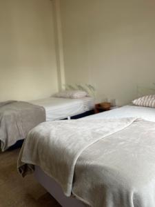 מיטה או מיטות בחדר ב-Kicker House Turtle Room