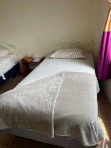Cama o camas de una habitación en Kicker House Turtle Room