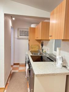 A kitchen or kitchenette at Small-comfy Guest House in Donaustadt garden - Not SHARED!