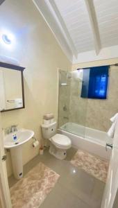 a bathroom with a toilet and a sink and a shower at Royal Palms Luxury Villas in Ocho Rios