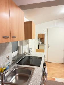 a kitchen with a stainless steel sink and wooden cabinets at Small-comfy Guest House in Donaustadt garden - Not SHARED! in Vienna