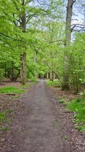 Φυσικό τοπίο κοντά σε αυτό το διαμέρισμα
