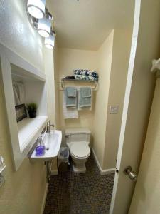 a small bathroom with a toilet and a sink at Zootown Bungalow in Missoula