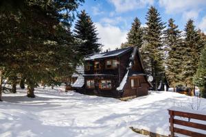 drewniany domek na śniegu z drzewami w obiekcie Oliwne Wzgórza w Stroniu Śląskim