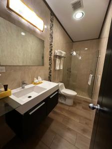 a bathroom with a sink and a toilet and a shower at Hotel Crowner David in David