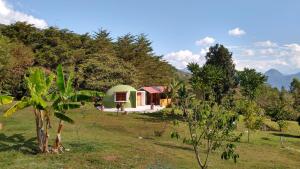 ein kleines Haus auf einem Feld neben Bäumen in der Unterkunft Refugio del Oso oxapampa in Oxapampa