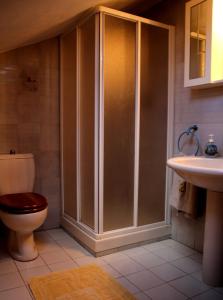 a bathroom with a shower and a toilet and a sink at Appartamenti Pian d'Alma in Punta Ala