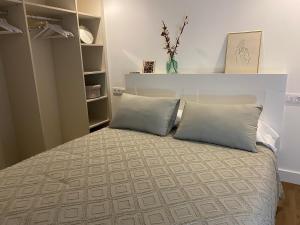 レオンにあるSan Mames Leon con Garaje incluido para coche medianoの枕が2つ置かれたベッドのある寝室