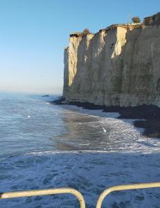 Blick auf das Meer und eine Klippe in der Unterkunft Mesnil Val Plage in Criel-sur-Mer