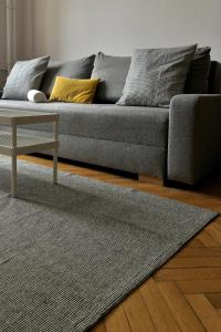 a living room with a grey couch and a rug at Apartament K3 in Warsaw