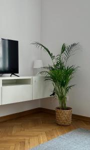 a potted plant in a living room with a tv at Apartament K3 in Warsaw