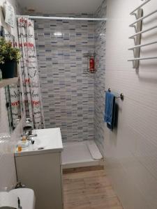 a bathroom with a shower with a toilet and a sink at Sebastian Elcano, apartamento para 2 con terraza, metro Embajadores in Madrid