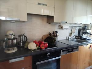 A cozinha ou cozinha compacta de Spacieux appartement au calme sur la colline de Cimiez